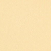 Cream Pearl