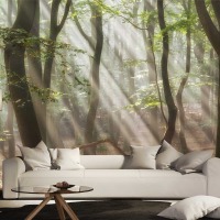 Song of the Forest 