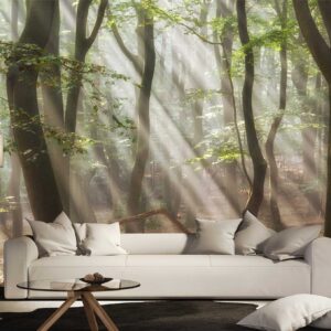 Song of the Forest