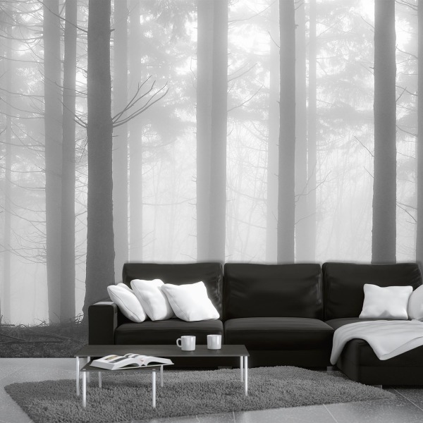 MU1460 - Fir Forest