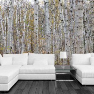 MU1457.01 - Canadian Birch Forest