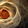 MU1430 - Fractal Rose