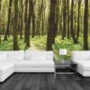 MU1413 - Panoramic Spring Colors Forest
