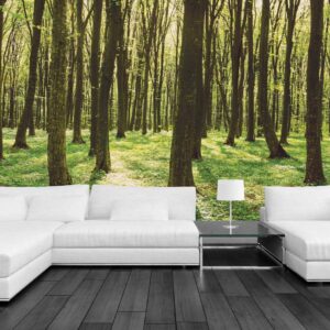 MU1413 - Panoramic Spring Colors Forest