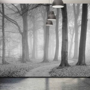 MU1353 - The Winding Path - Black and White