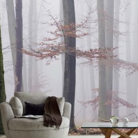 MU1202 - Morning Fog