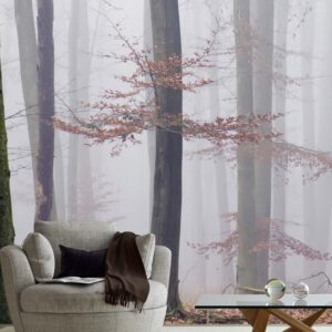 MU1202 - Morning Fog