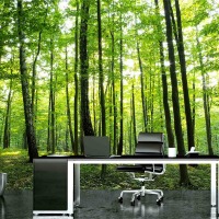 MU1186 - Sunny Forest