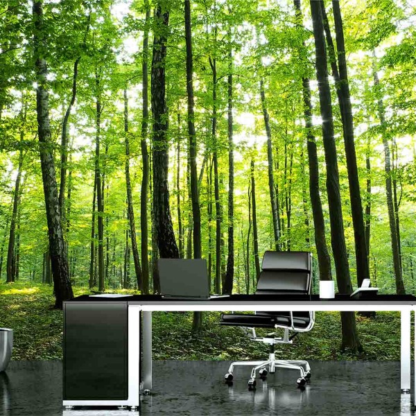 MU1186 - Sunny Forest