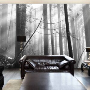 MU1165.01 - Old Forest