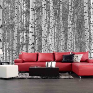 MU1131 - Birch Tree Forest