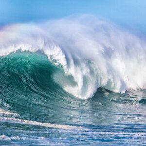 1696_Ocean Wave