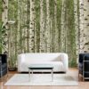 MU1120 - Birch Tree Forest