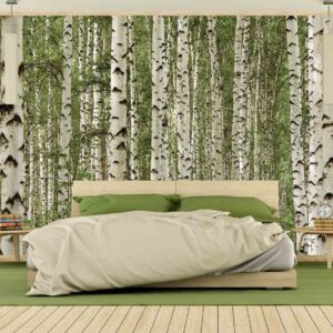 MU1120 - Birch Tree Forest