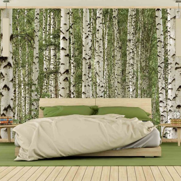MU1120 - Birch Tree Forest