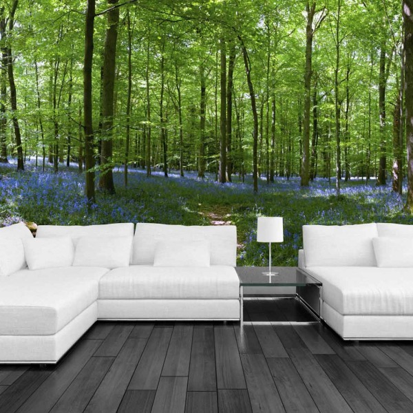MU1118 - Bluebell Forest