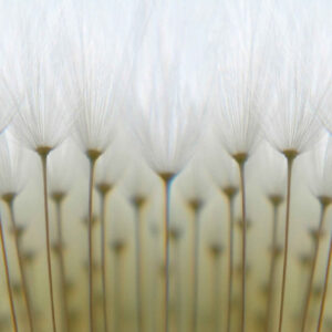 MU1077 - Waiting for Wind