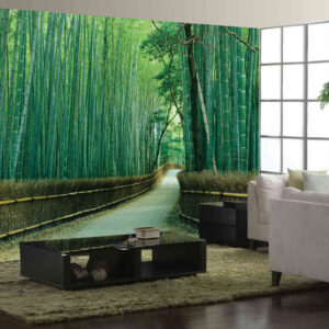 MU1066 - Sagano Bamboo Forest, Kyoto, Japan