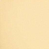 Cream Pearl