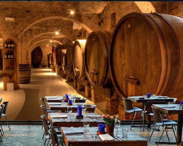 MU1504 - Wine Cellar in Tuscany