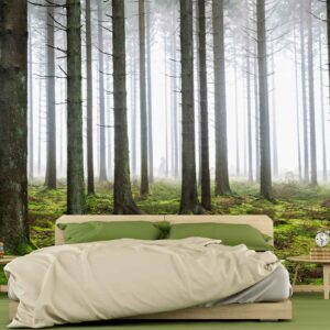 MU1574 - Pine Forest
