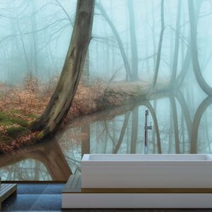 MU1575 - Mirror Forest
