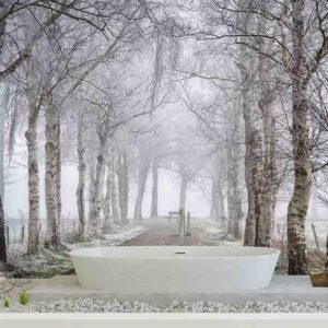 MU1578 - Frozen Birches