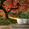 MU1510 - Japanese Maple Tree
