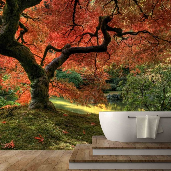 MU1510 - Japanese Maple Tree
