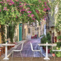 1649R2_Alley in Athens, near the Acropolis