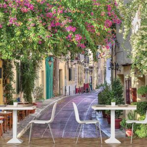 1649R2_Alley in Athens, near the Acropolis