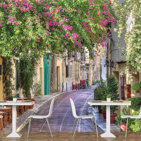 1649R2_Alley in Athens, near the Acropolis