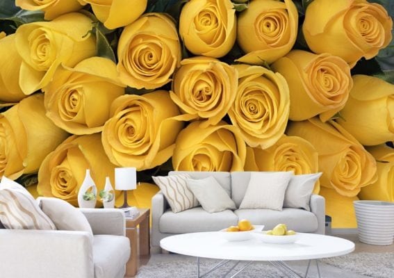 1549R_Yellow Roses