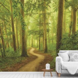 1674R_Peaceful Path