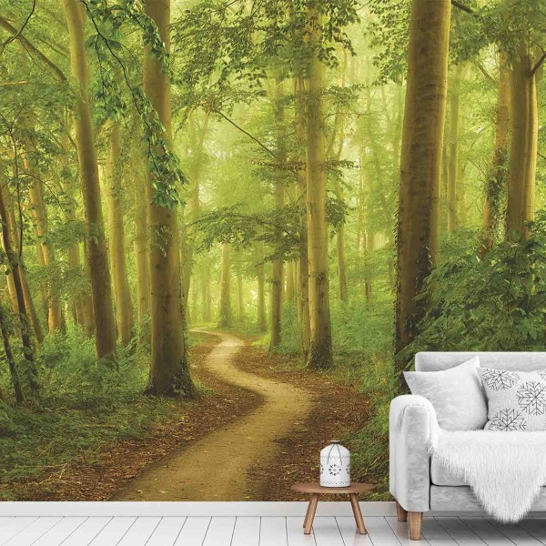 1674R_Peaceful Path