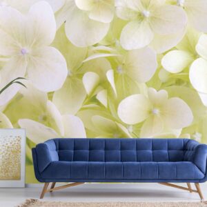 1693R2_White Hydrangea Flowers