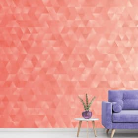 Coral Geometric Triangles