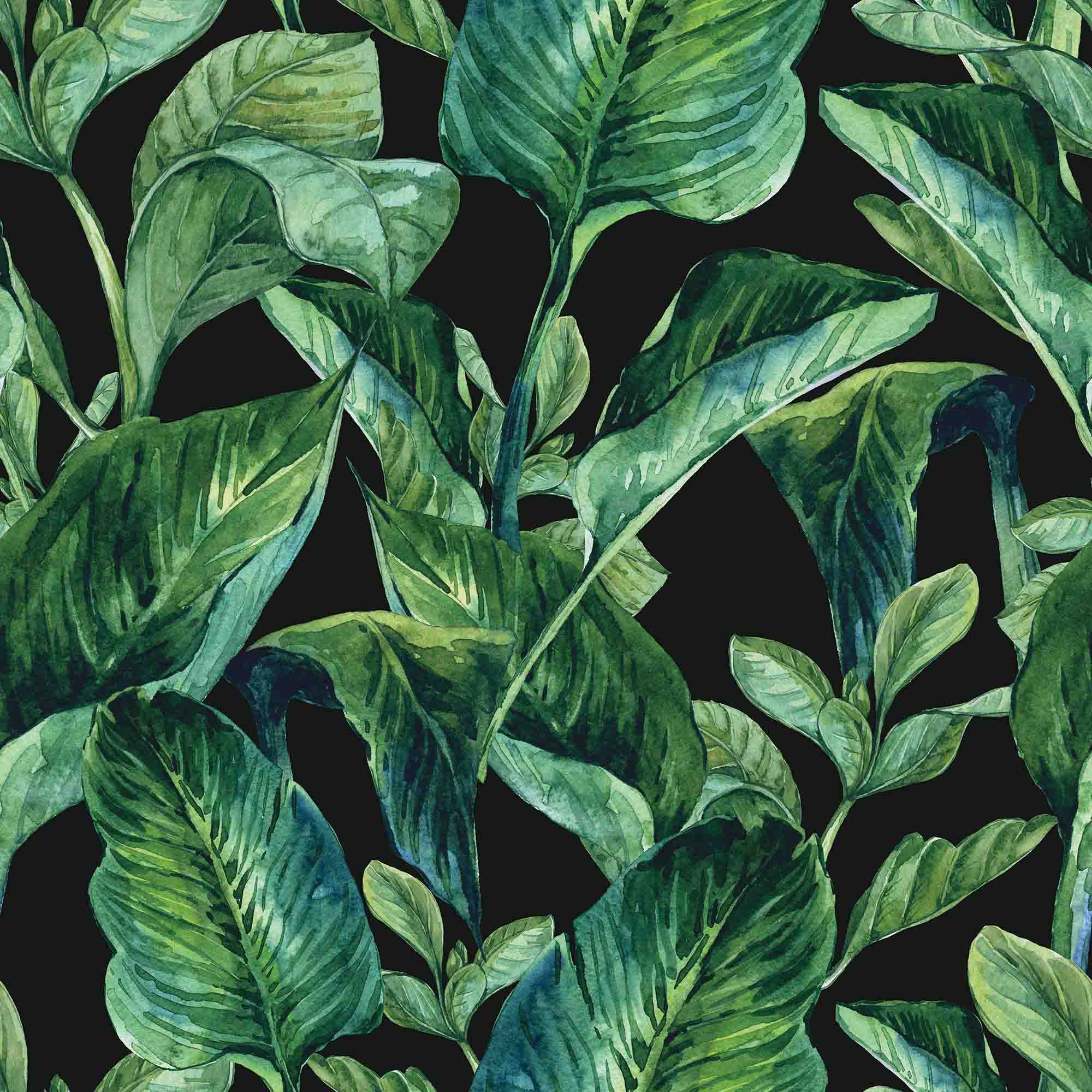 MU1753 Tropical Leaves ☑️ Photo Wallpaper | Talissa Decor