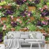 1742-Pyramidal-flowers