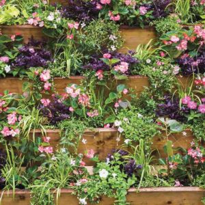 1742-Pyramidal-Flowers