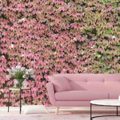 Ivy_wall