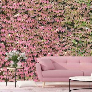 Ivy_wall