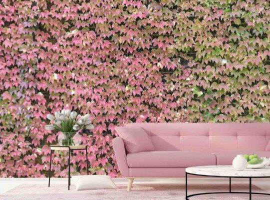 Ivy_wall