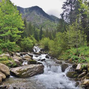 Mountain-stream