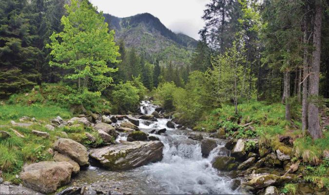 Mountain-stream
