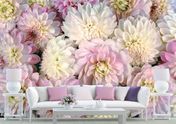 wall murals dahlia flowers