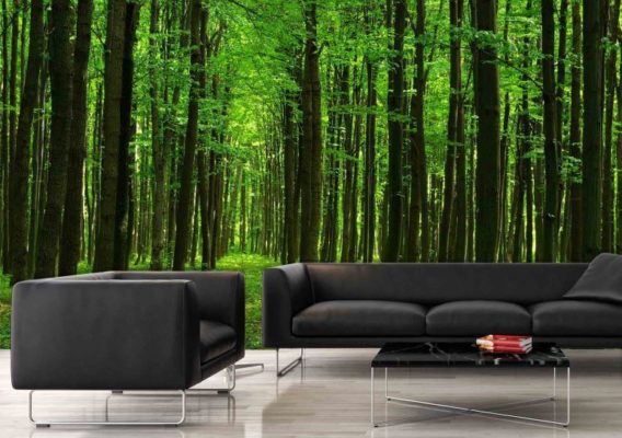 wall murals in Laval