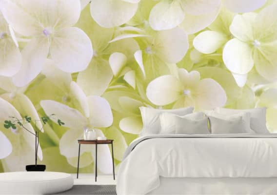 flowers wall murals in Montreal