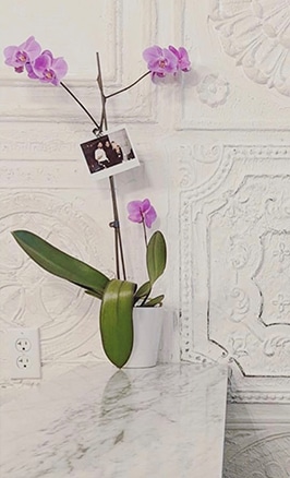decorative_ceiling_tiles_talissa_decor_1