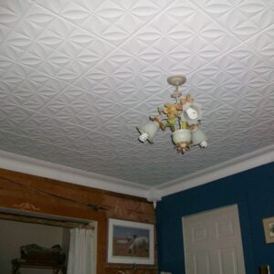 Styro Pro RM 88 ceiling tile (2)